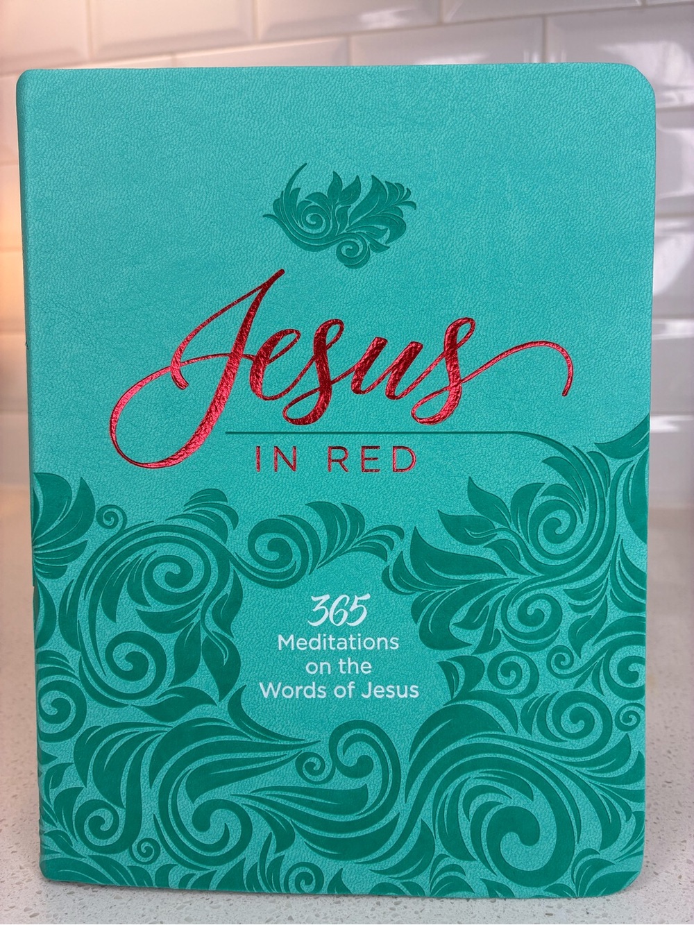 Jesus in red 365 meditations on the words of JESUS
